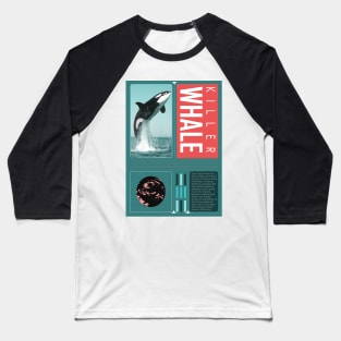 KILLER WHALE_2 Baseball T-Shirt